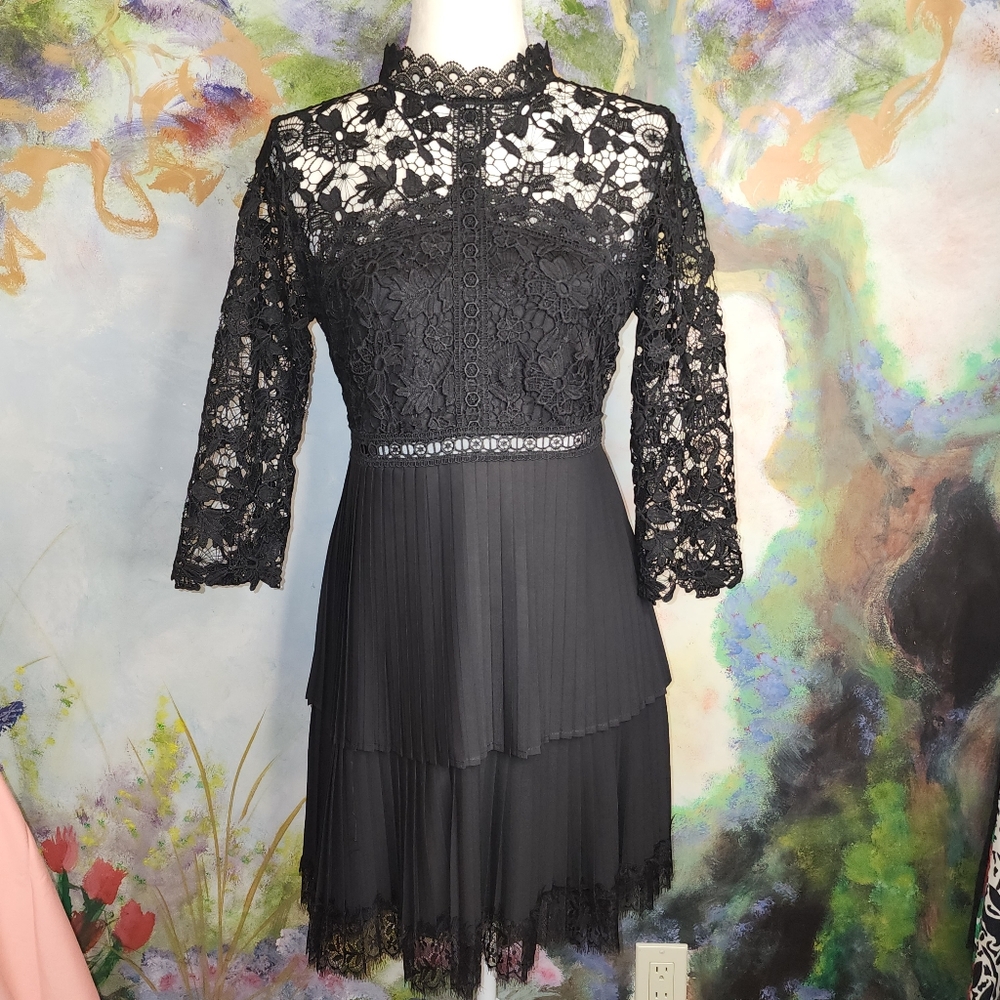 NWT ZARA Lace Highcollar Pleated Gothic Victorian Mini Dress